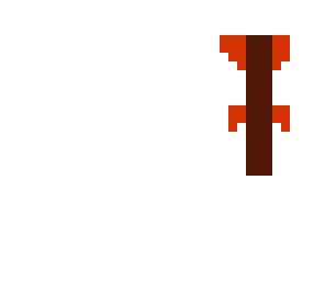 aang's glider
