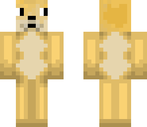 doge
