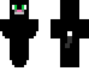 black cat