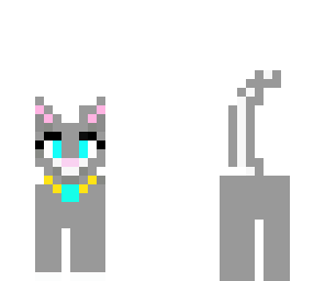 kitty gray cat