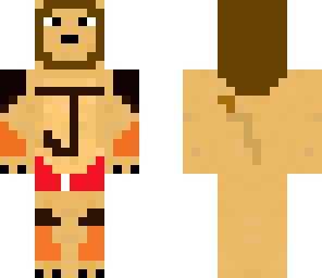 joshua lion2