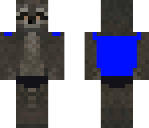 raccoon