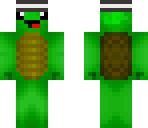 mr derp turtle