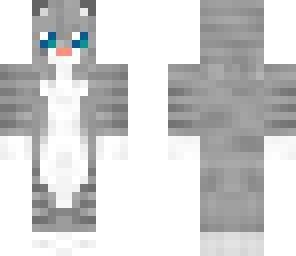 cute cat