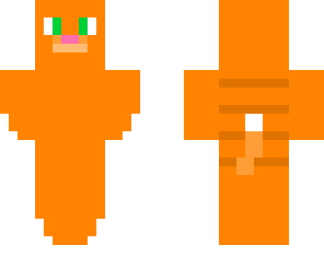 ginger cat