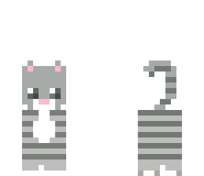 grey kitten