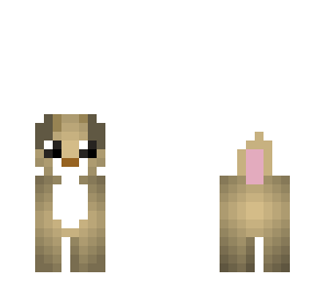 small dog