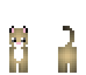 kitten