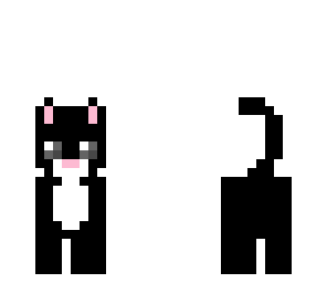 black cat
