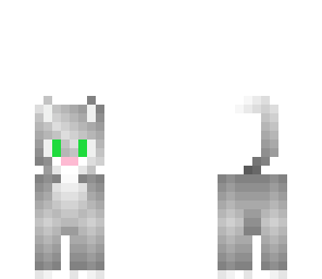 the kitty cat