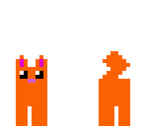 the kitty