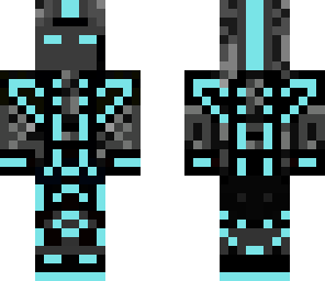 cyber ninja