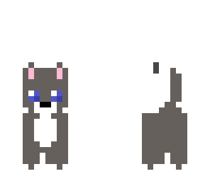 assistacat