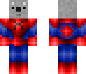 spiderkoala