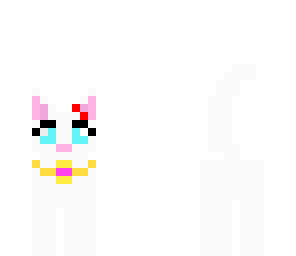 skys cat
