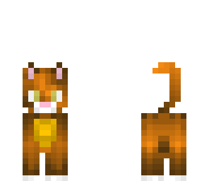 orange cat