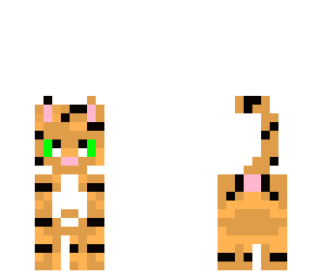 tiger cat