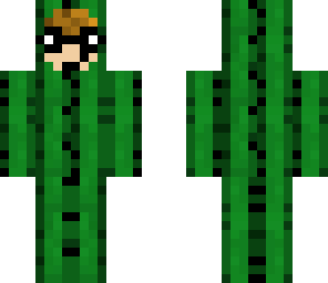 cactusboomy