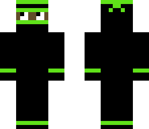 the black ninja