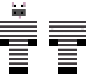 zebra123