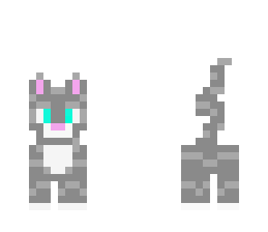 grey kitty