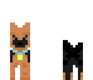 cute dog