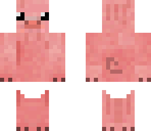 baby pig