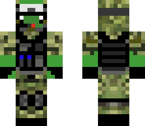 soldier turtle