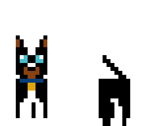 dog