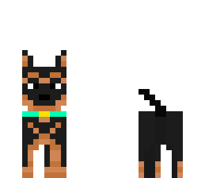 hond