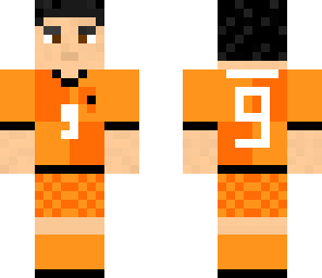 robin van persie