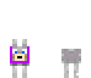 perrito