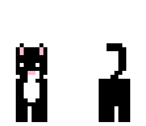 black kitty