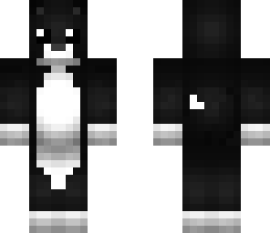 black cat