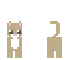 kitty cat