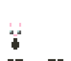 kitty cat