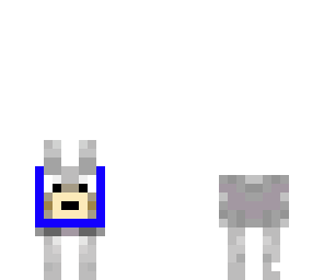 dog with blue leash