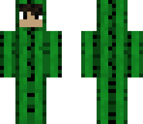 cactus boy