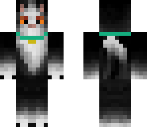 kittypet
