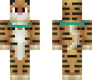 tiger cat