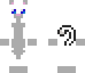 siamese cat