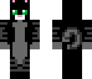 mi skin plecs