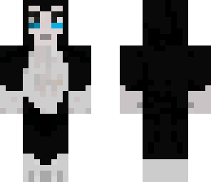 black cat