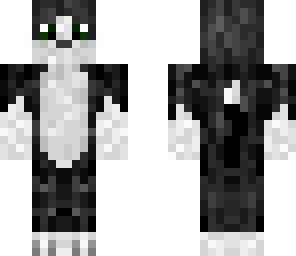 meow meow kitty