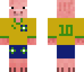 pkneubrazil