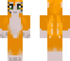 some cat