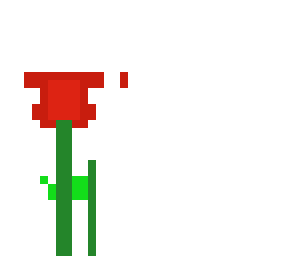 rose