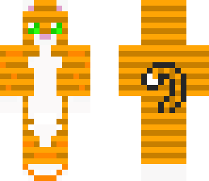 orange tabby 