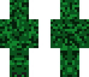 camo skin