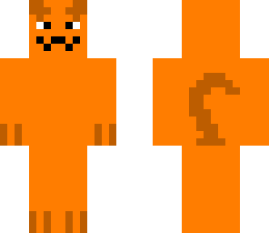 orange cat